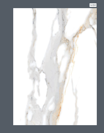 Calacatta Gold 60x120