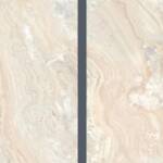 Coral - immagine 3