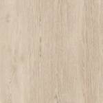 Missouri Miele - immagine 2