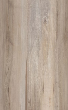 24 Ombre Honey